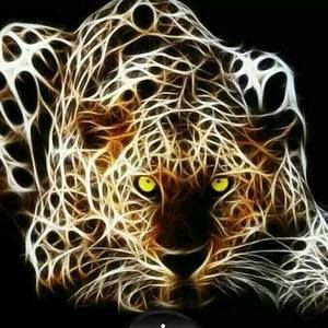 Meet your Posher, Marcus